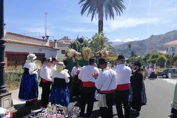 Romería ofrenda a la Virgen del Pino (Foto TA y Antonio Alí)